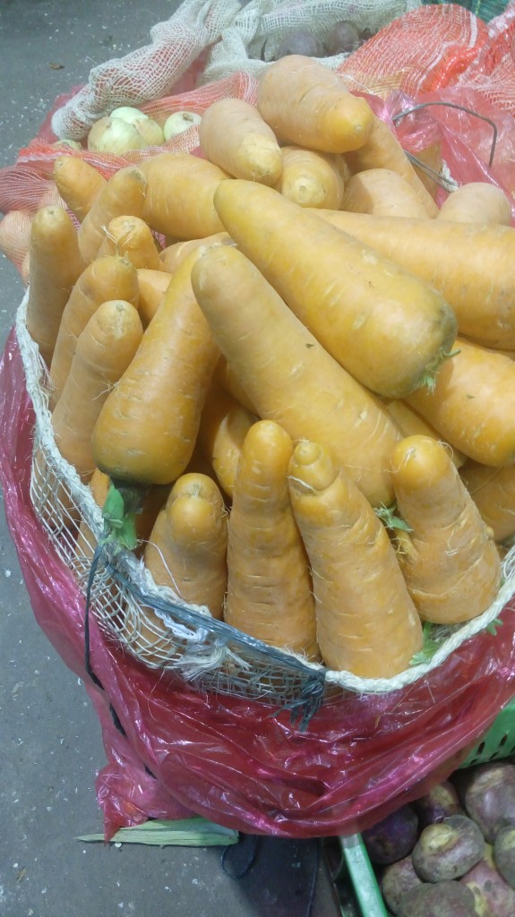 Zanahoria