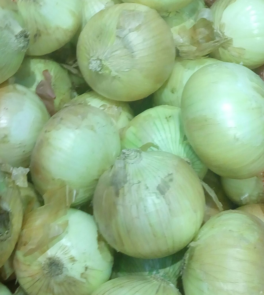 Cebolla cabezona