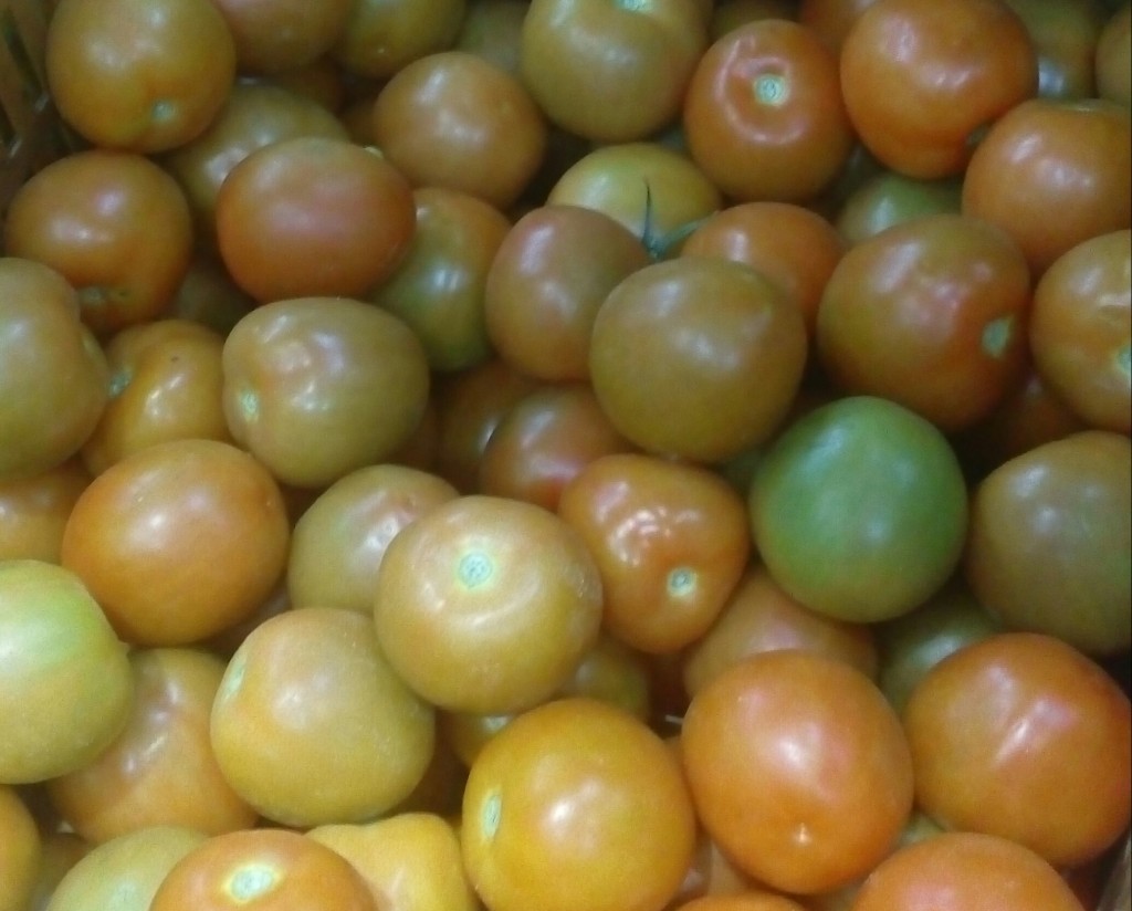 Tomate chonto de primera