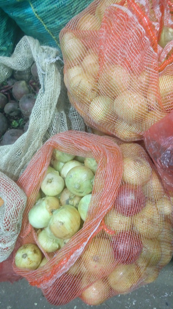 Cebolla cabezona gruesa