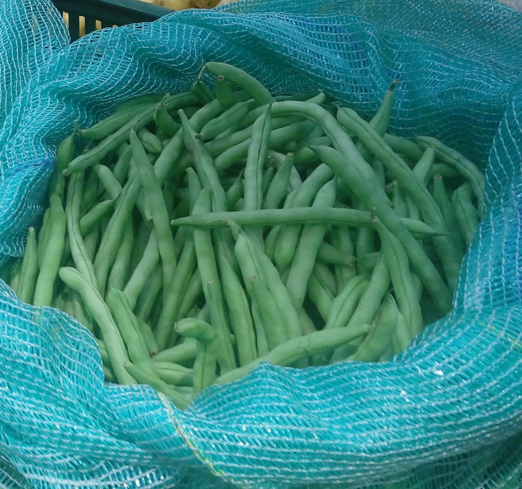 Habichuelas