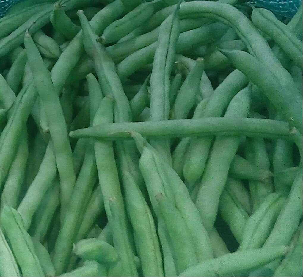 Habichuelas