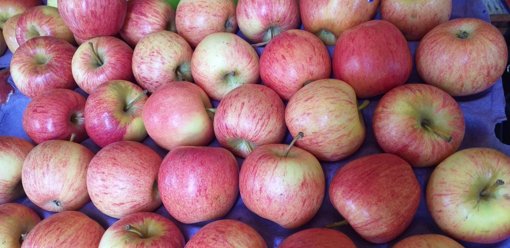 Manzana gala delgada