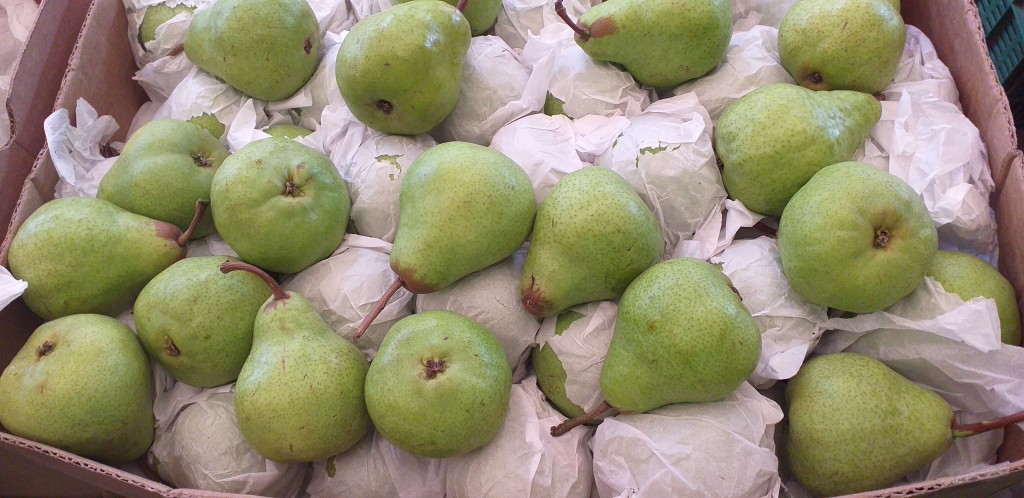 Pera gruesa