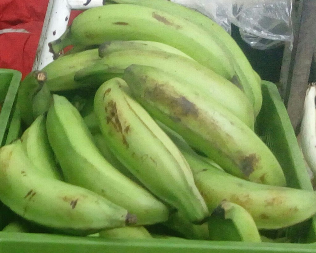 Platano