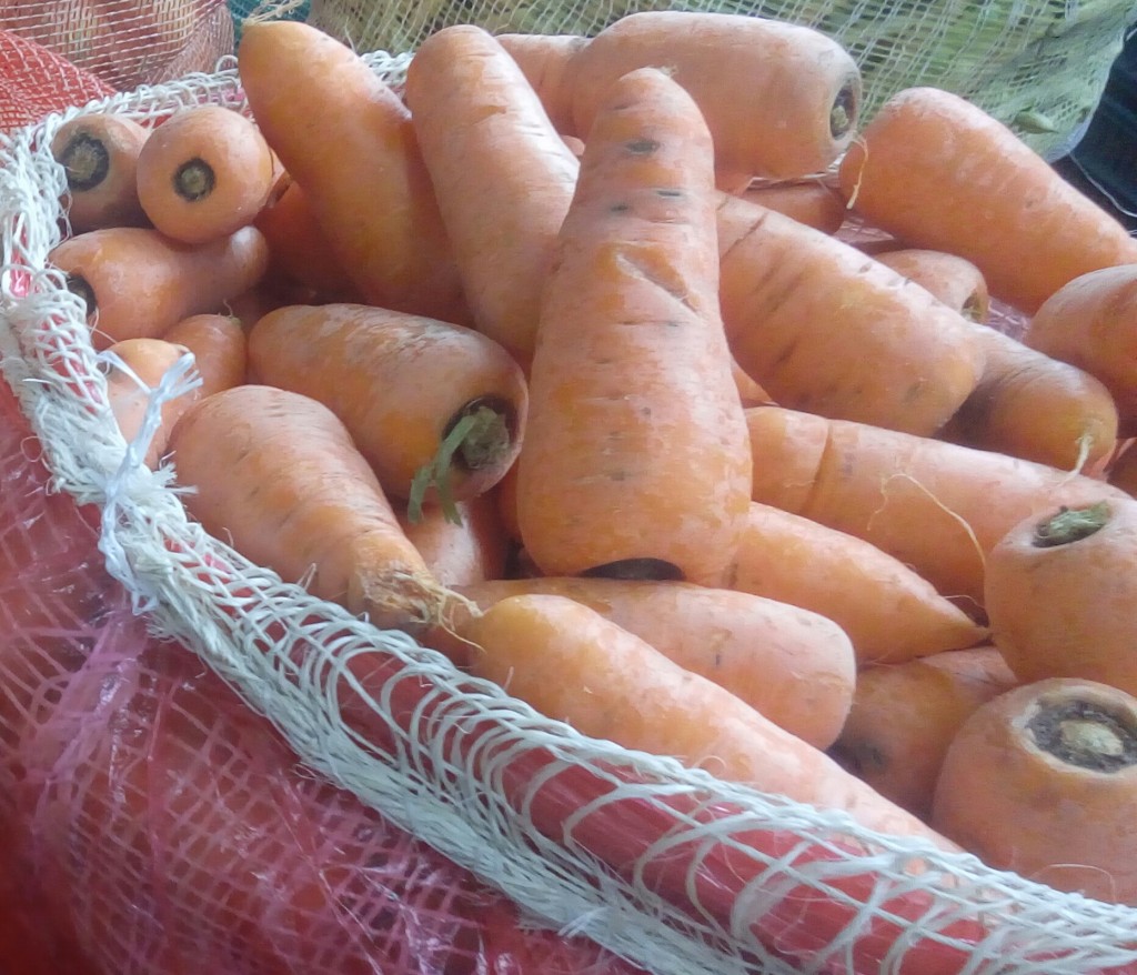 Zanahoria
