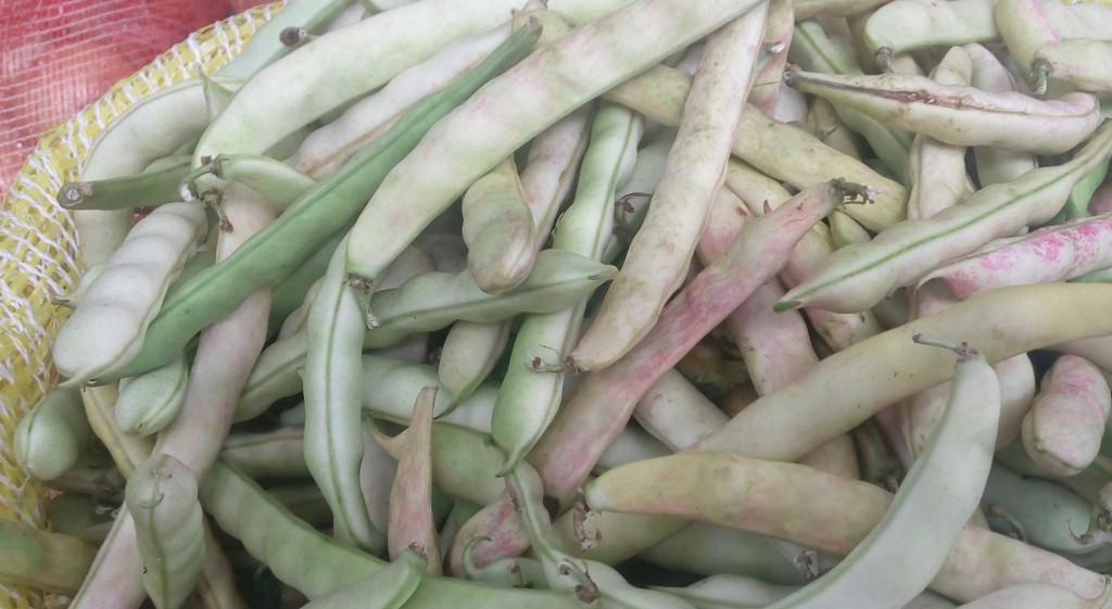 Frijol en cascara