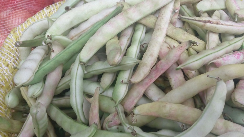 Frijol en cascara