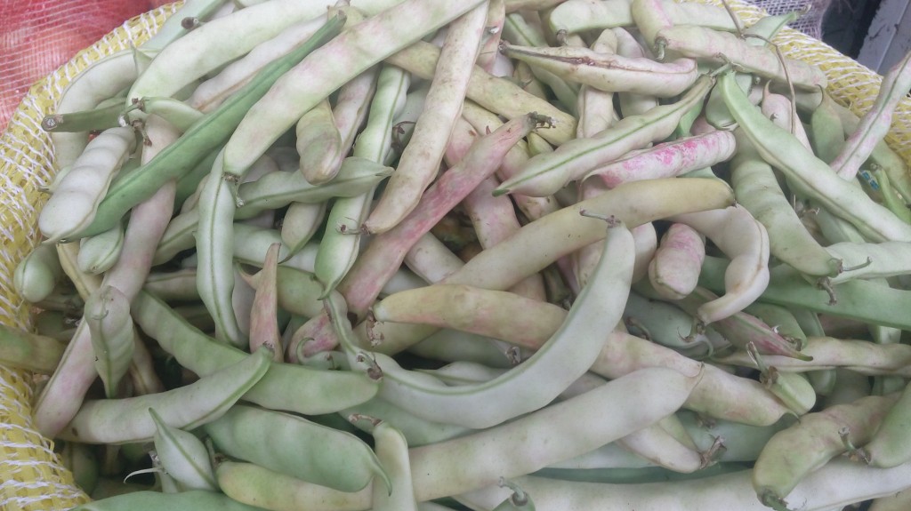 Frijol en cascara