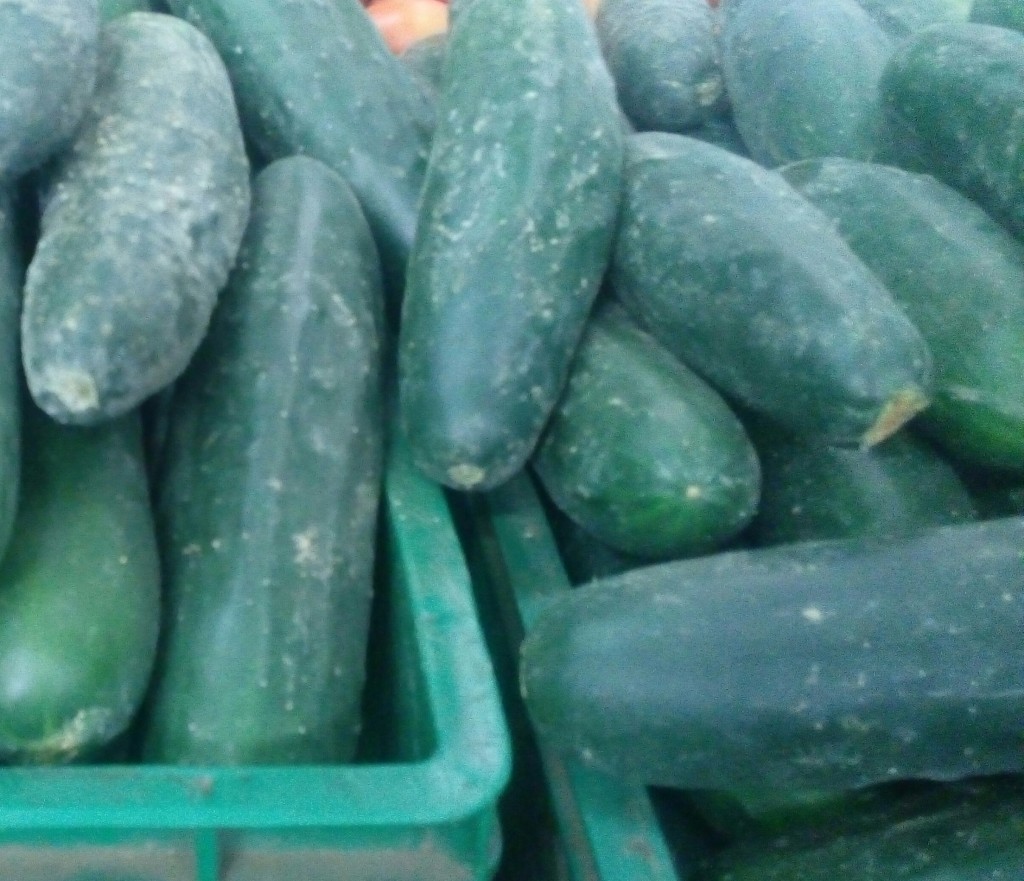 Pepino cohombro