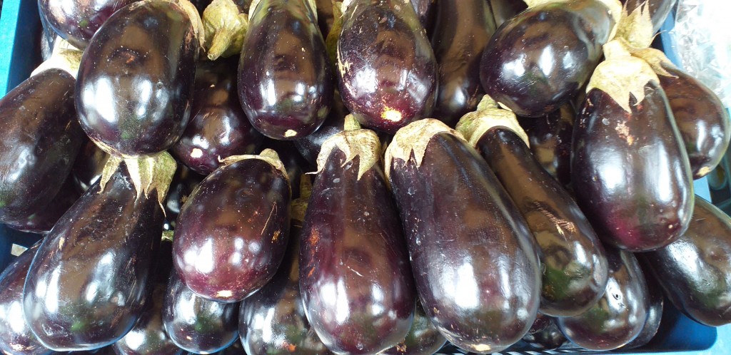 Berenjena