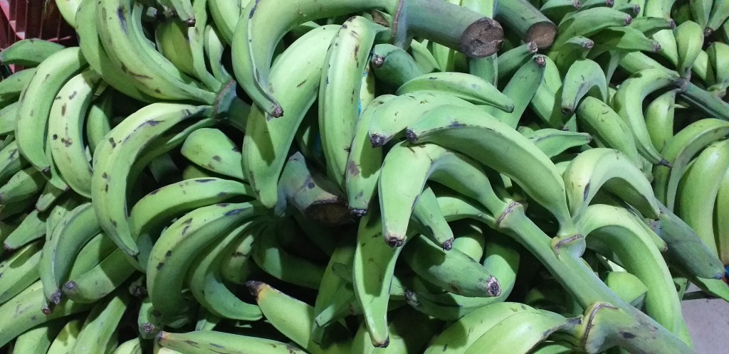 Platano verde