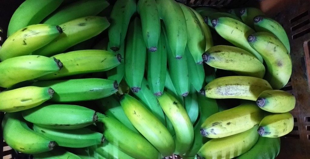 Banano criollo verde