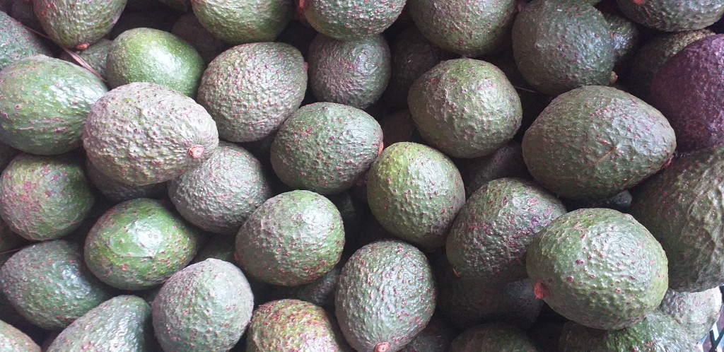 Aguacate hass