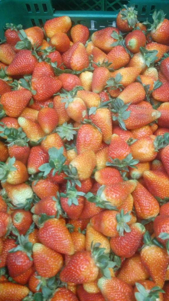 Fresa mediana