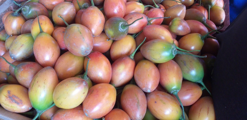 Tomate de arbol