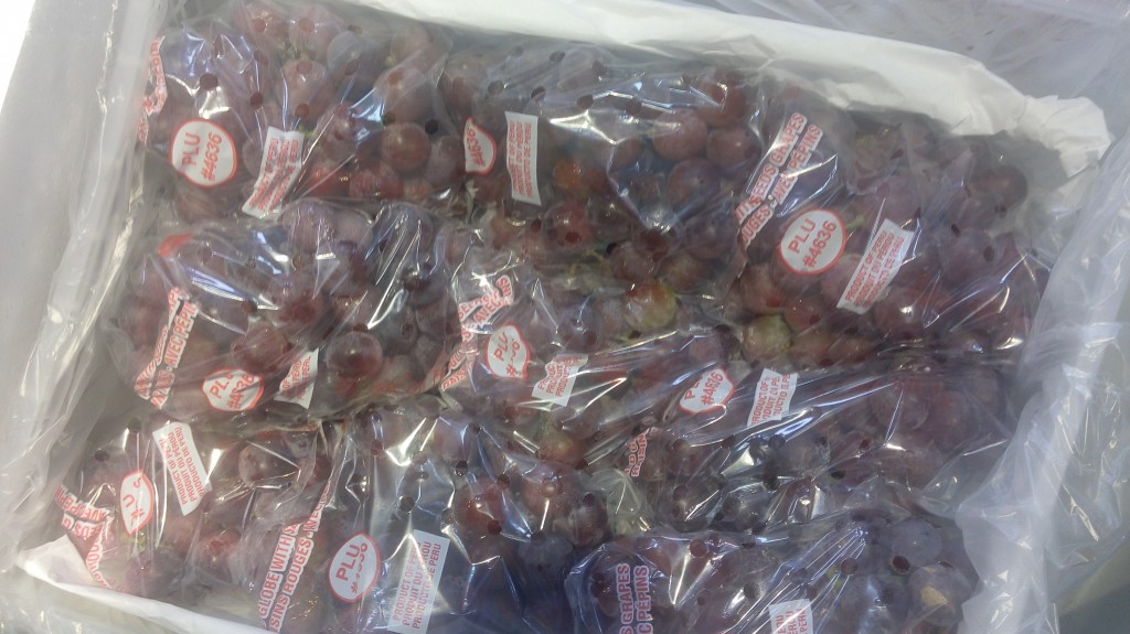 Uvas sin pepa Siria rouges
