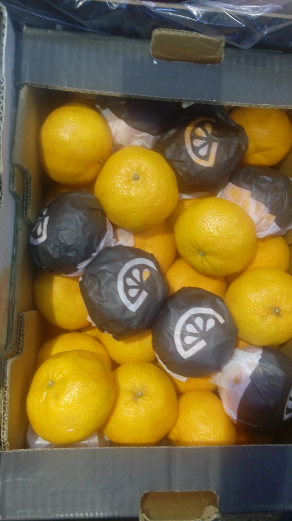 Mandarina malvasio peruana