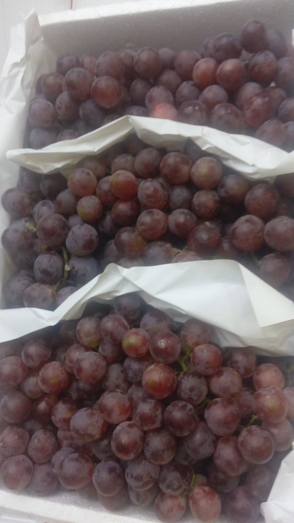 Uvas red glove