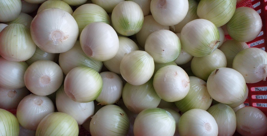 Cebolla blanca pelada