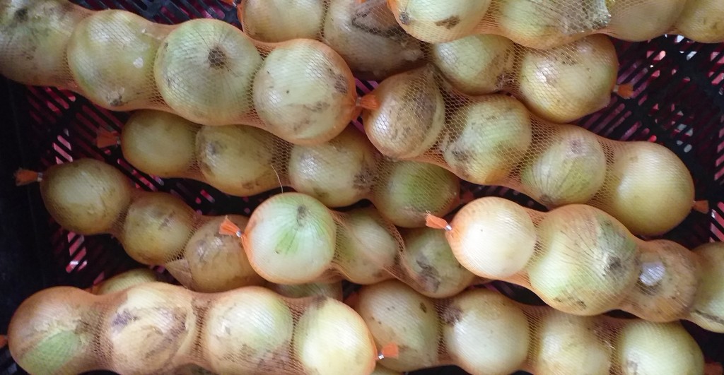 Cebolla malla/4 pepas