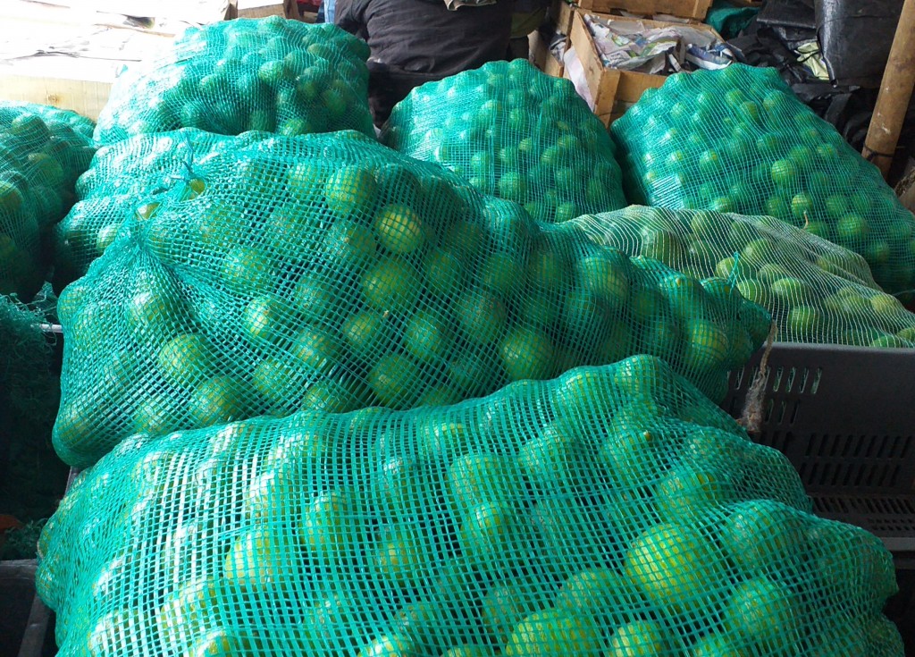 Limon tahiti