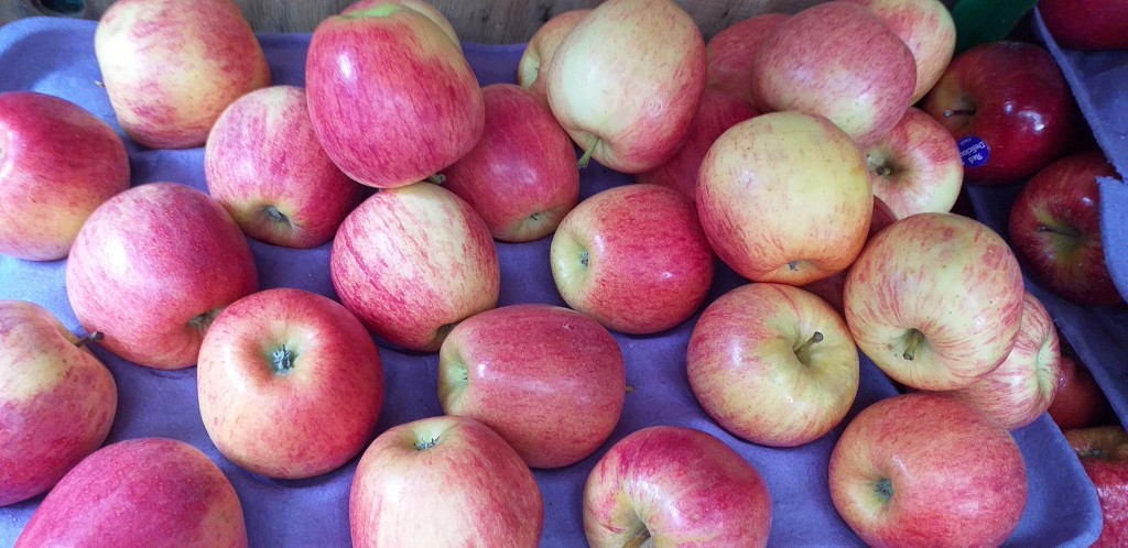 Manzana gala