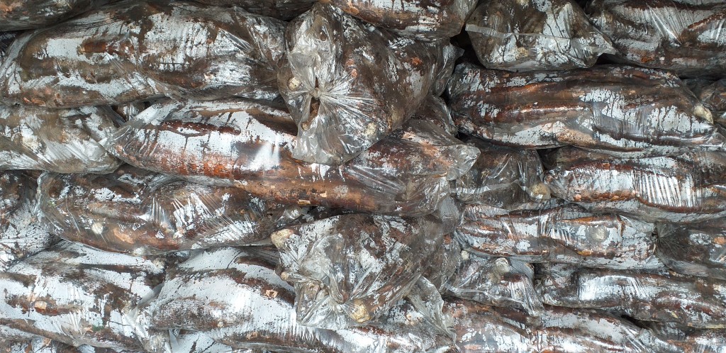 Yuca playera/25kg
