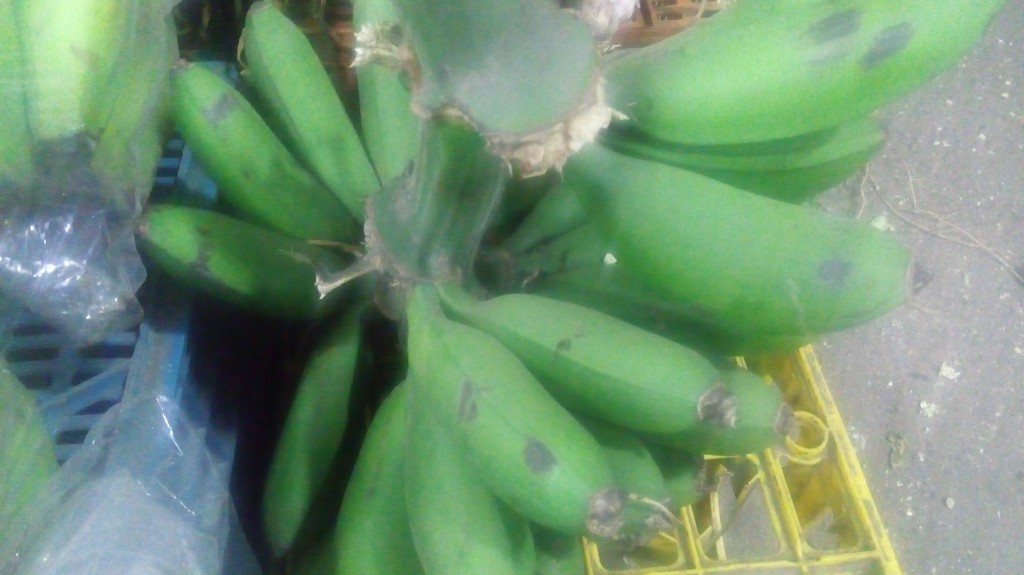 Colicero