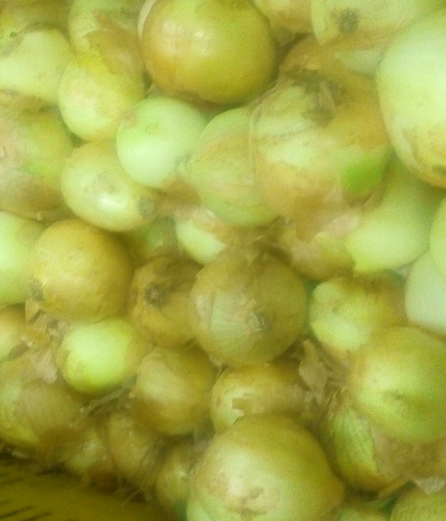 Cebolla cabezona