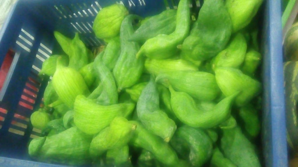 Pepino cohombro