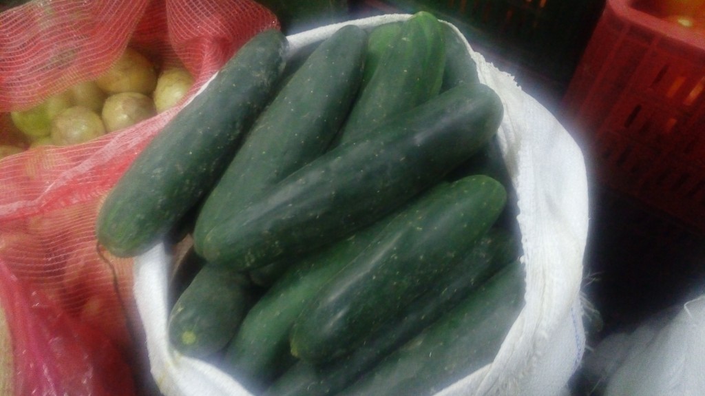 Pepino cohombro