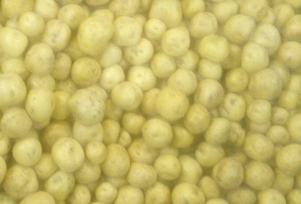 Papa criolla