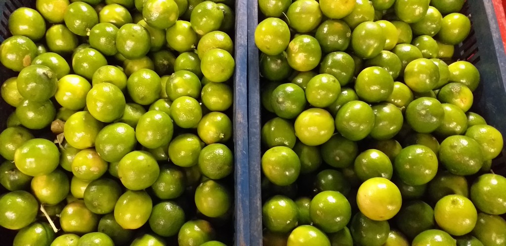 Limon tahiti grueso