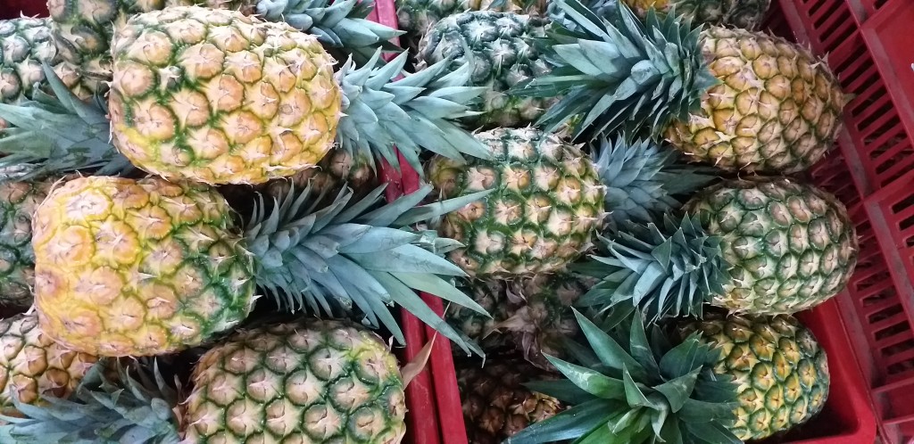 Piña oromiel