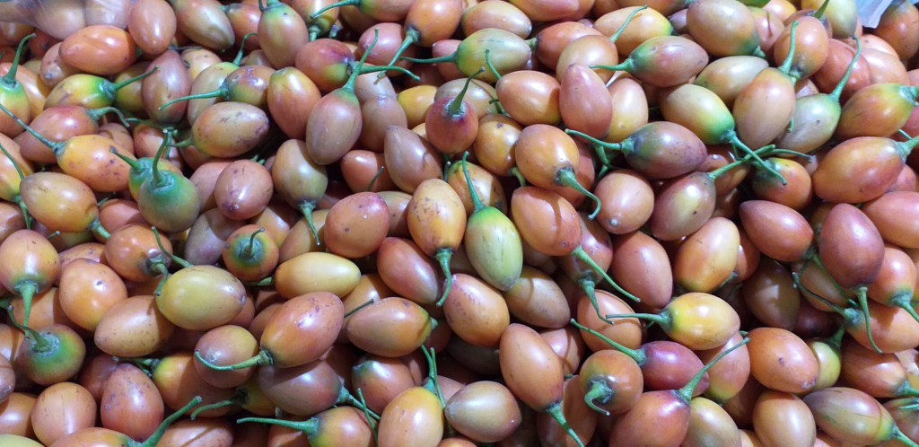 Tomate de arbol