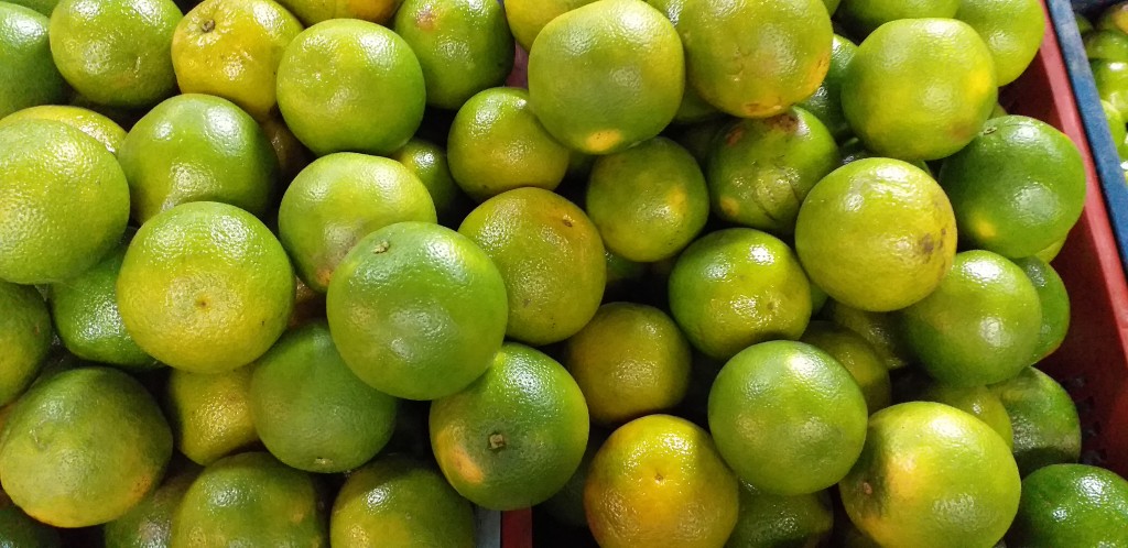 Naranja valencia