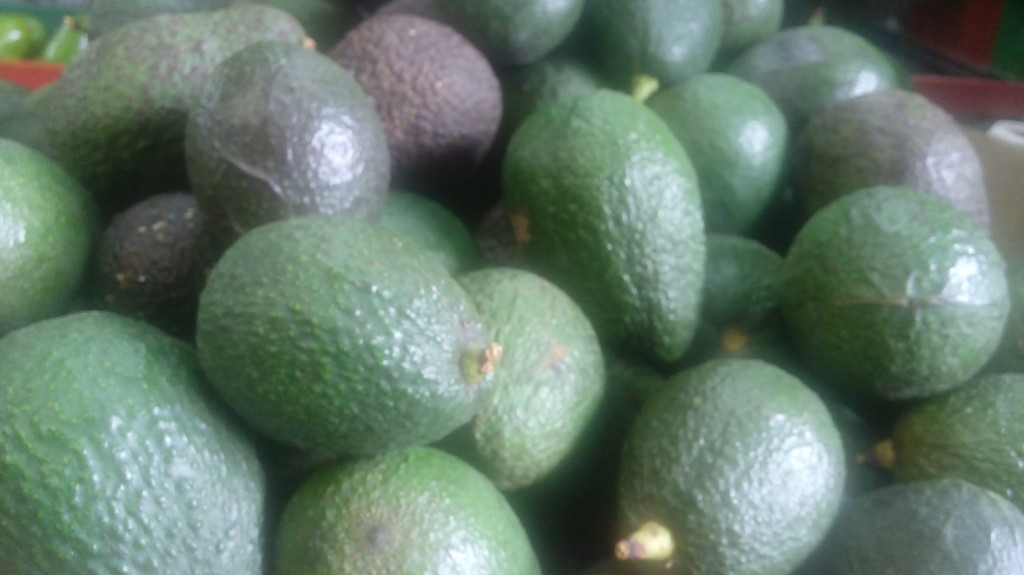 Aguacate Hass