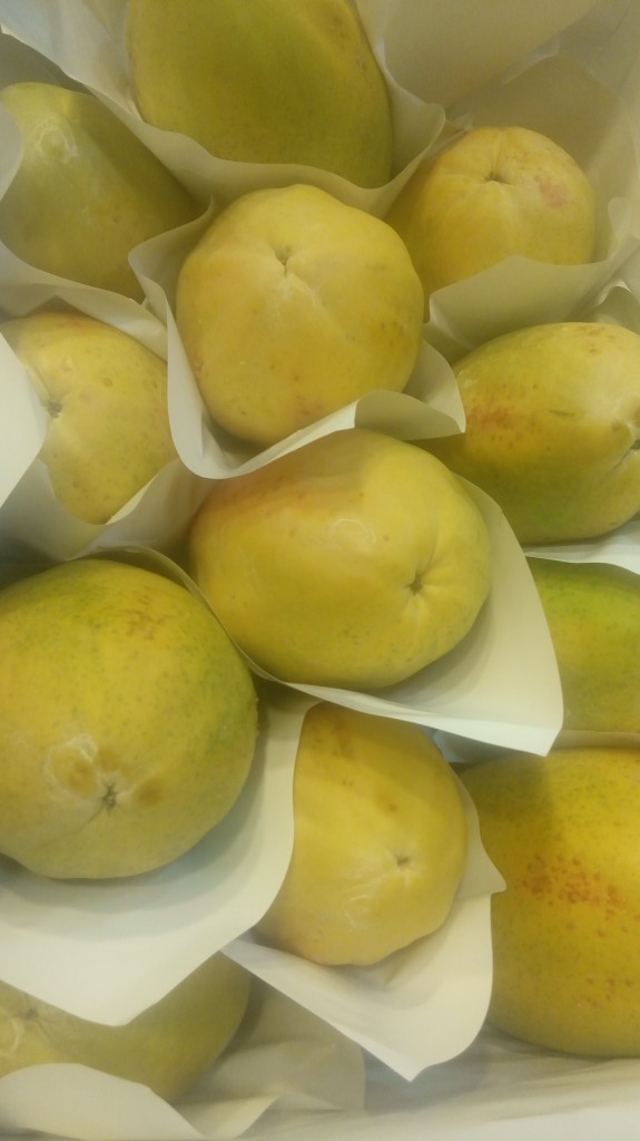 Papaya de primera calidad