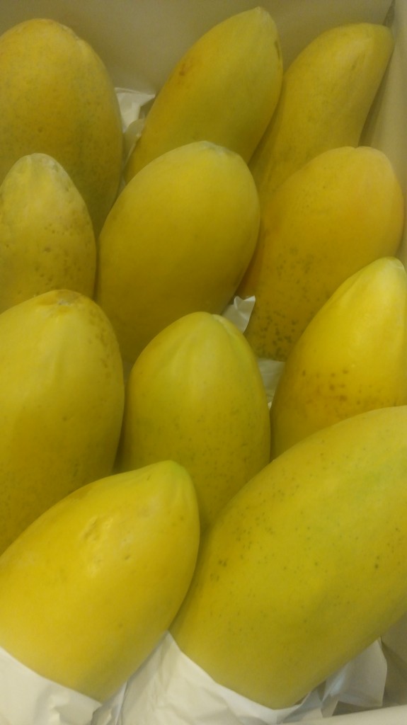 Papaya