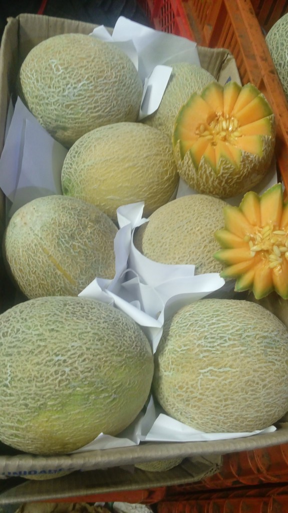 Melon