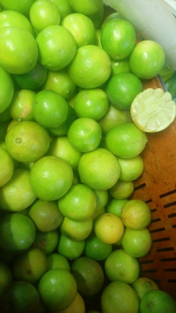 Limon tahiti