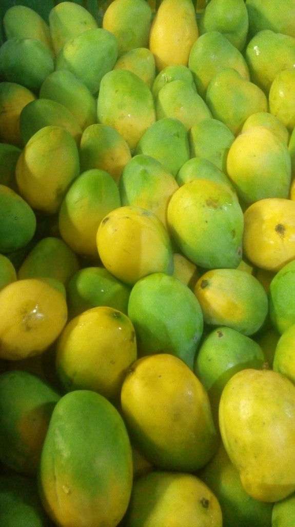 Mango comun