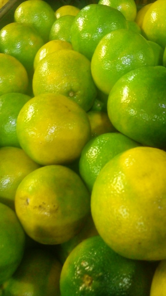 Naranja tangelo pareja