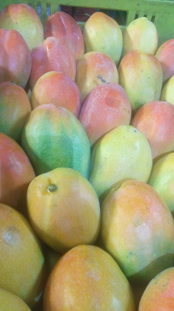 Mango yulima