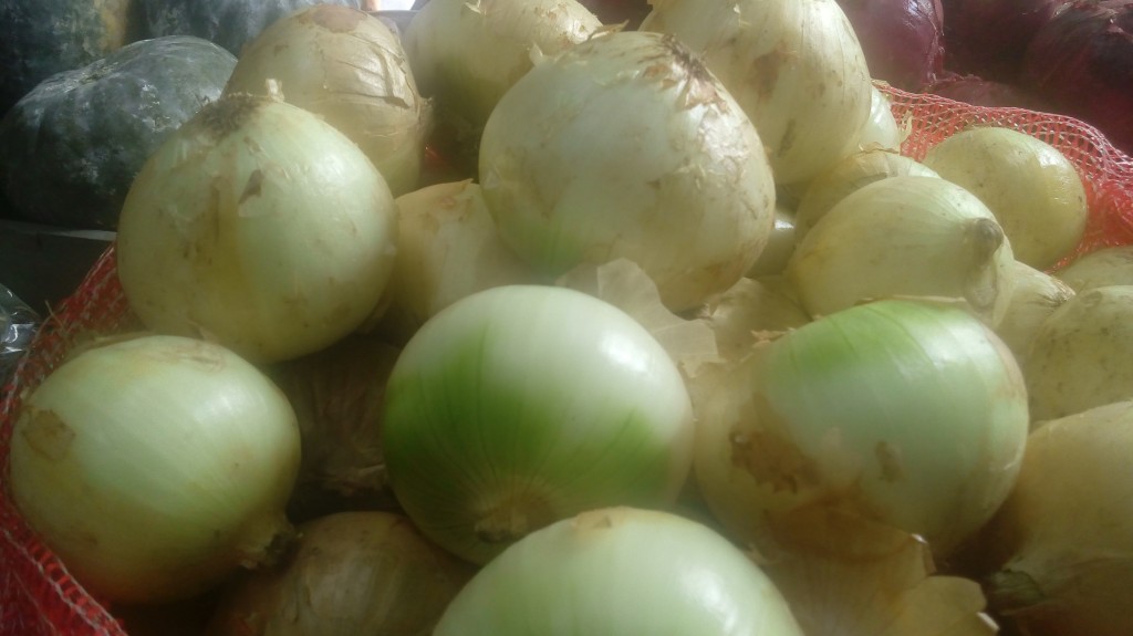 Cebolla cabezona