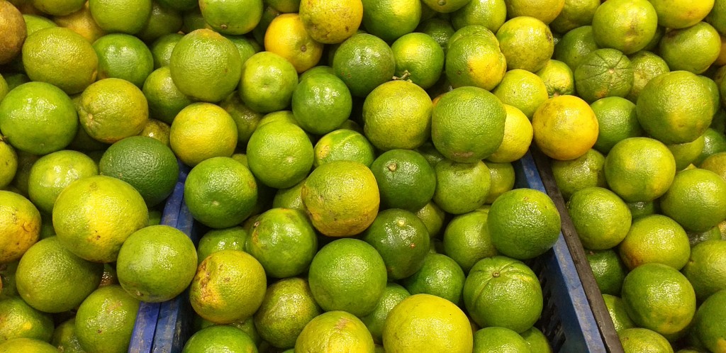 Naranja valencia 2da