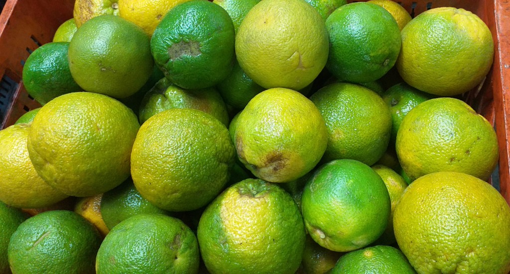 Naranja valencia 1ra