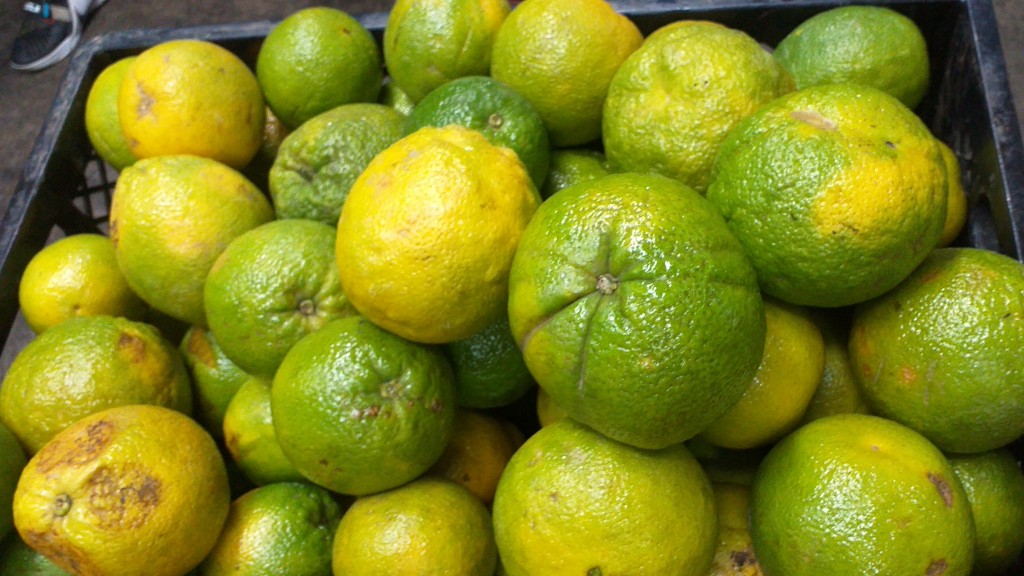 Naranja washington