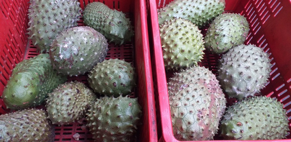 Guanabana